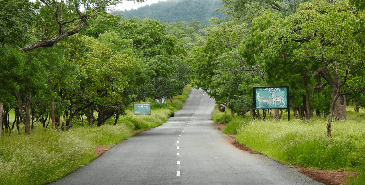 ചിത്രം