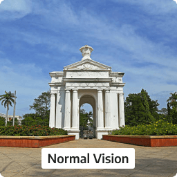 normal-vison