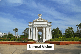 Normal Vision Image